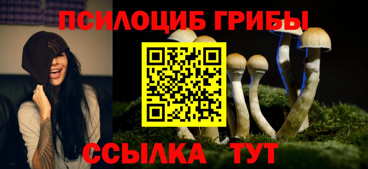 Протвино  Галлюциногенные грибы Magic Shrooms  Вход с VPN 